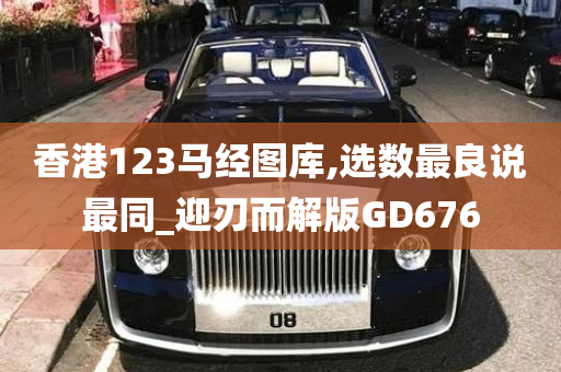 香港123马经图库,选数最良说最同_迎刃而解版GD676