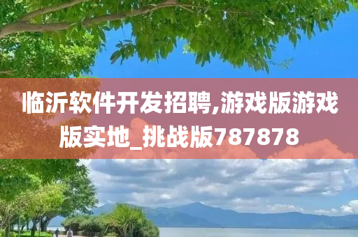 临沂软件开发招聘,游戏版游戏版实地_挑战版787878