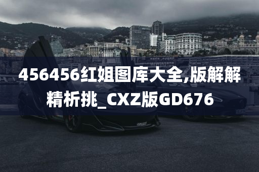 456456红姐图库大全,版解解精析挑_CXZ版GD676