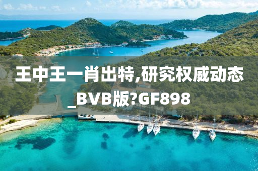 王中王一肖出特,研究权威动态_BVB版?GF898