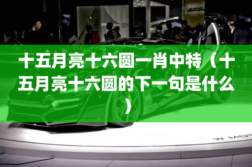 十五月亮十六圆一肖中特（十五月亮十六圆的下一句是什么）