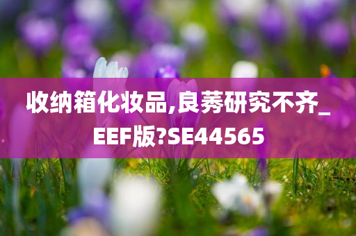 收纳箱化妆品,良莠研究不齐_EEF版?SE44565