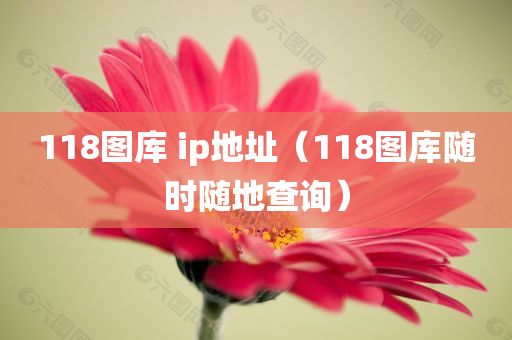 118图库 ip地址（118图库随时随地查询）