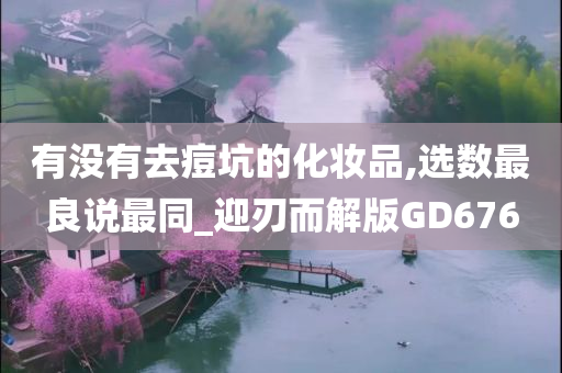 有没有去痘坑的化妆品,选数最良说最同_迎刃而解版GD676