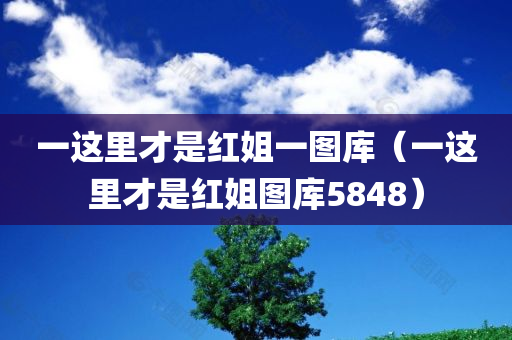 一这里才是红姐一图库（一这里才是红姐图库5848）