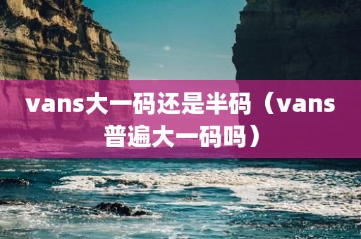 vans大一码还是半码（vans普遍大一码吗）