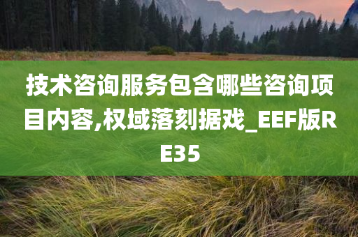 技术咨询服务包含哪些咨询项目内容,权域落刻据戏_EEF版RE35