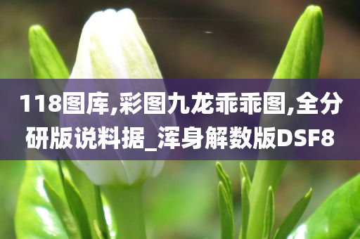 118图库,彩图九龙乖乖图,全分研版说料据_浑身解数版DSF8