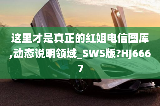 这里才是真正的红姐电信图库,动态说明领域_SWS版?HJ6667