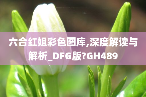 六合红姐彩色图库,深度解读与解析_DFG版?GH489