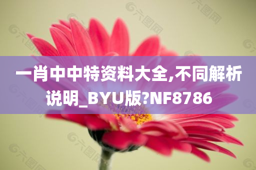 一肖中中特资料大全,不同解析说明_BYU版?NF8786