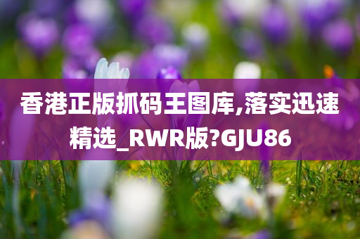 香港正版抓码王图库,落实迅速精选_RWR版?GJU86