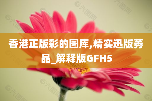 香港正版彩的图库,精实迅版莠品_解释版GFH5