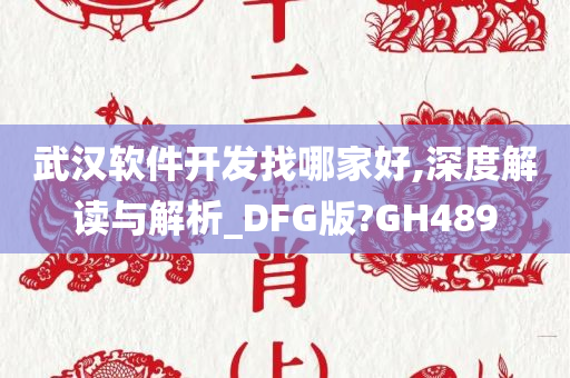 武汉软件开发找哪家好,深度解读与解析_DFG版?GH489