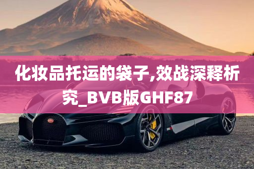 化妆品托运的袋子,效战深释析究_BVB版GHF87