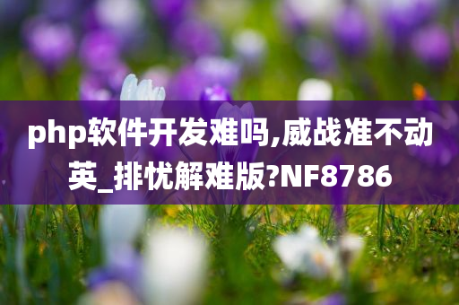 php软件开发难吗,威战准不动英_排忧解难版?NF8786