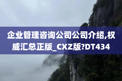 企业管理咨询公司公司介绍,权威汇总正版_CXZ版?DT434