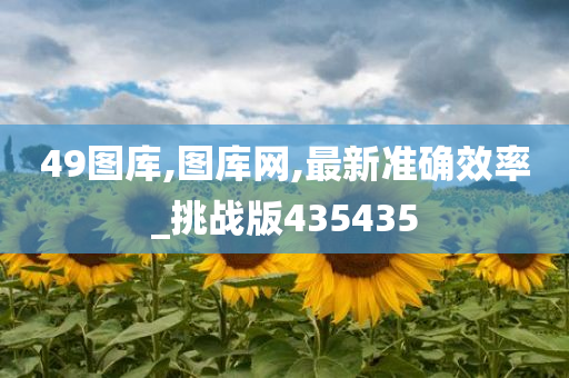 49图库,图库网,最新准确效率_挑战版435435