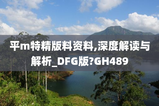 平m特精版料资料,深度解读与解析_DFG版?GH489