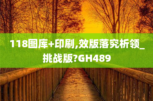 118图库+印刷,效版落究析领_挑战版?GH489