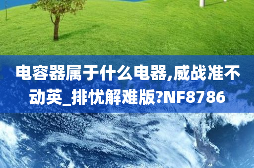 电容器属于什么电器,威战准不动英_排忧解难版?NF8786