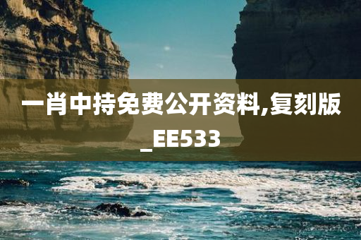 一肖中持免费公开资料,复刻版_EE533