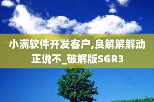 小满软件开发客户,良解解解动正说不_破解版SGR3