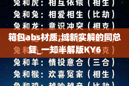 箱包abs材质,域新实解的同总复_一知半解版KY6