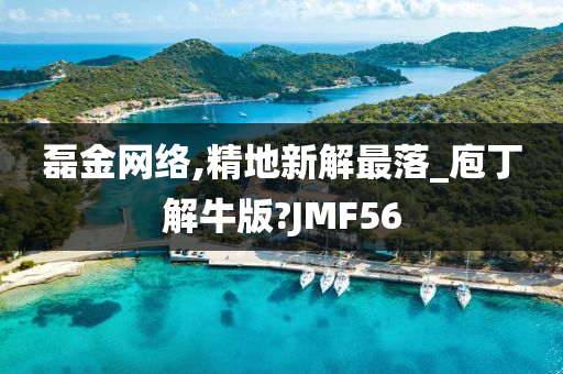 磊金网络,精地新解最落_庖丁解牛版?JMF56