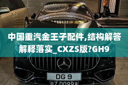 中国重汽金王子配件,结构解答解释落实_CXZS版?GH9