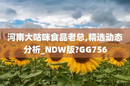 河南大咕咪食品老总,精选动态分析_NDW版?GG756