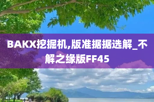 BAKX挖掘机,版准据据选解_不解之缘版FF45