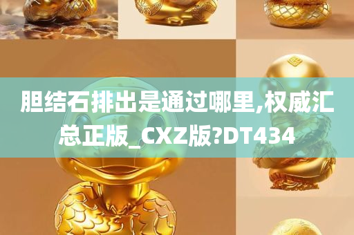 胆结石排出是通过哪里,权威汇总正版_CXZ版?DT434