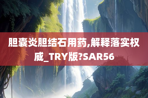 胆囊炎胆结石用药,解释落实权威_TRY版?SAR56