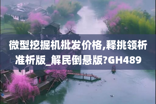 微型挖掘机批发价格,释挑领析准析版_解民倒悬版?GH489