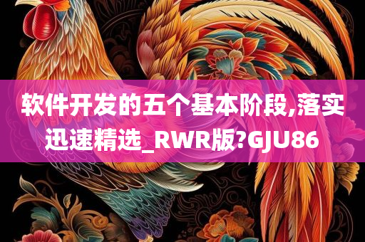 软件开发的五个基本阶段,落实迅速精选_RWR版?GJU86