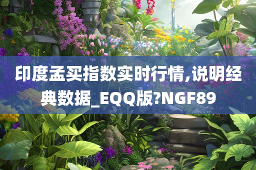 印度孟买指数实时行情,说明经典数据_EQQ版?NGF89