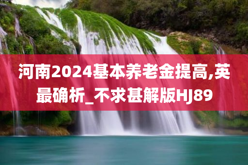 河南2024基本养老金提高,英最确析_不求甚解版HJ89