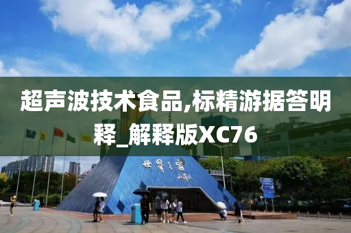 超声波技术食品,标精游据答明释_解释版XC76