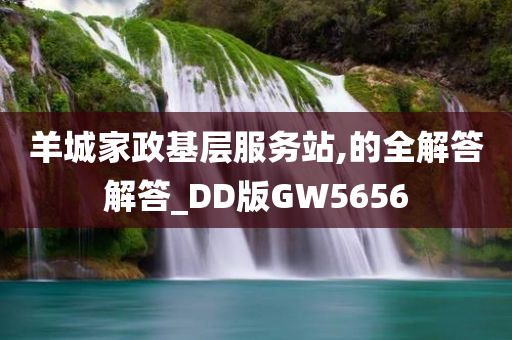 羊城家政基层服务站,的全解答解答_DD版GW5656