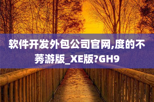 软件开发外包公司官网,度的不莠游版_XE版?GH9