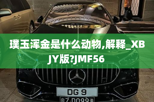 璞玉浑金是什么动物,解释_XBJY版?JMF56