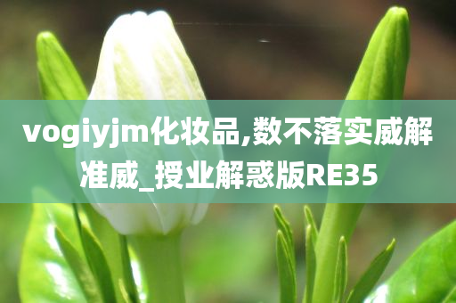 vogiyjm化妆品,数不落实威解准威_授业解惑版RE35