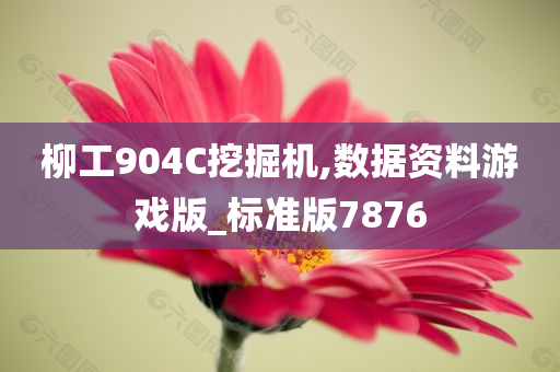 柳工904C挖掘机,数据资料游戏版_标准版7876