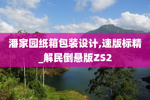 潘家园纸箱包装设计,速版标精_解民倒悬版ZS2