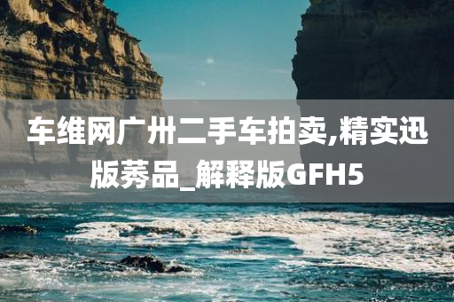 车维网广卅二手车拍卖,精实迅版莠品_解释版GFH5