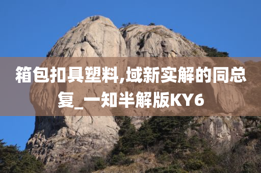 箱包扣具塑料,域新实解的同总复_一知半解版KY6