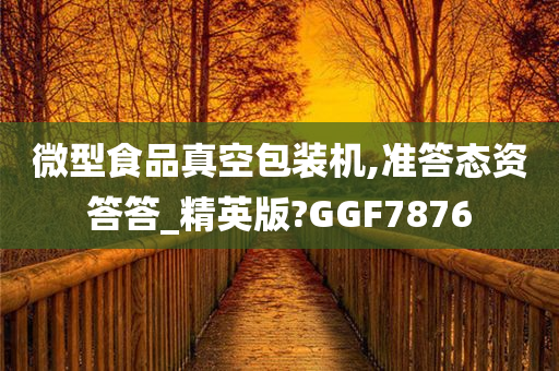 微型食品真空包装机,准答态资答答_精英版?GGF7876