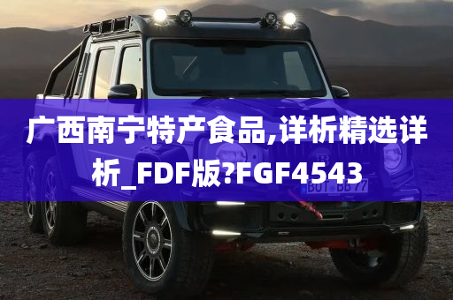 广西南宁特产食品,详析精选详析_FDF版?FGF4543