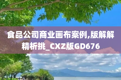 食品公司商业画布案例,版解解精析挑_CXZ版GD676